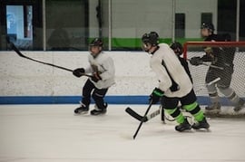Bridgedale Academy Off-Season Youth Hockey Development