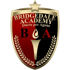 Bridgedale Sports Academy