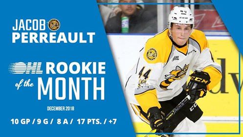 Jacob Perreault OHL Rookie of December