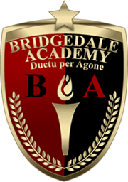 Bridgedale Academy Classical Education for Middle School hockey players