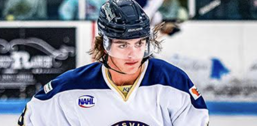 NAHL on X: Congratulations to all the players that were selected